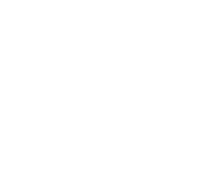 Dominici Lencería